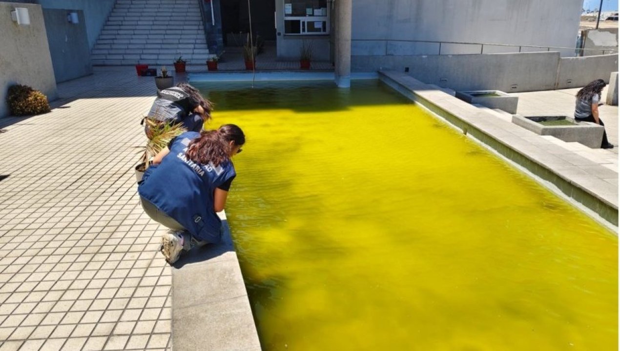 /larvas-algas-y-agua-en-mal-estado-clausuran-cinco-piscinas-en-antofagasta