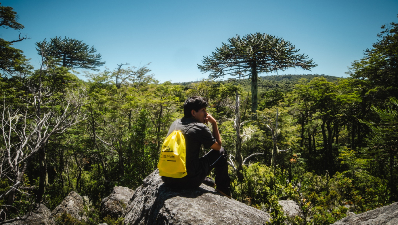 /aventura-en-nahuelbuta-familias-participaron-en-trekking-en-sector-san