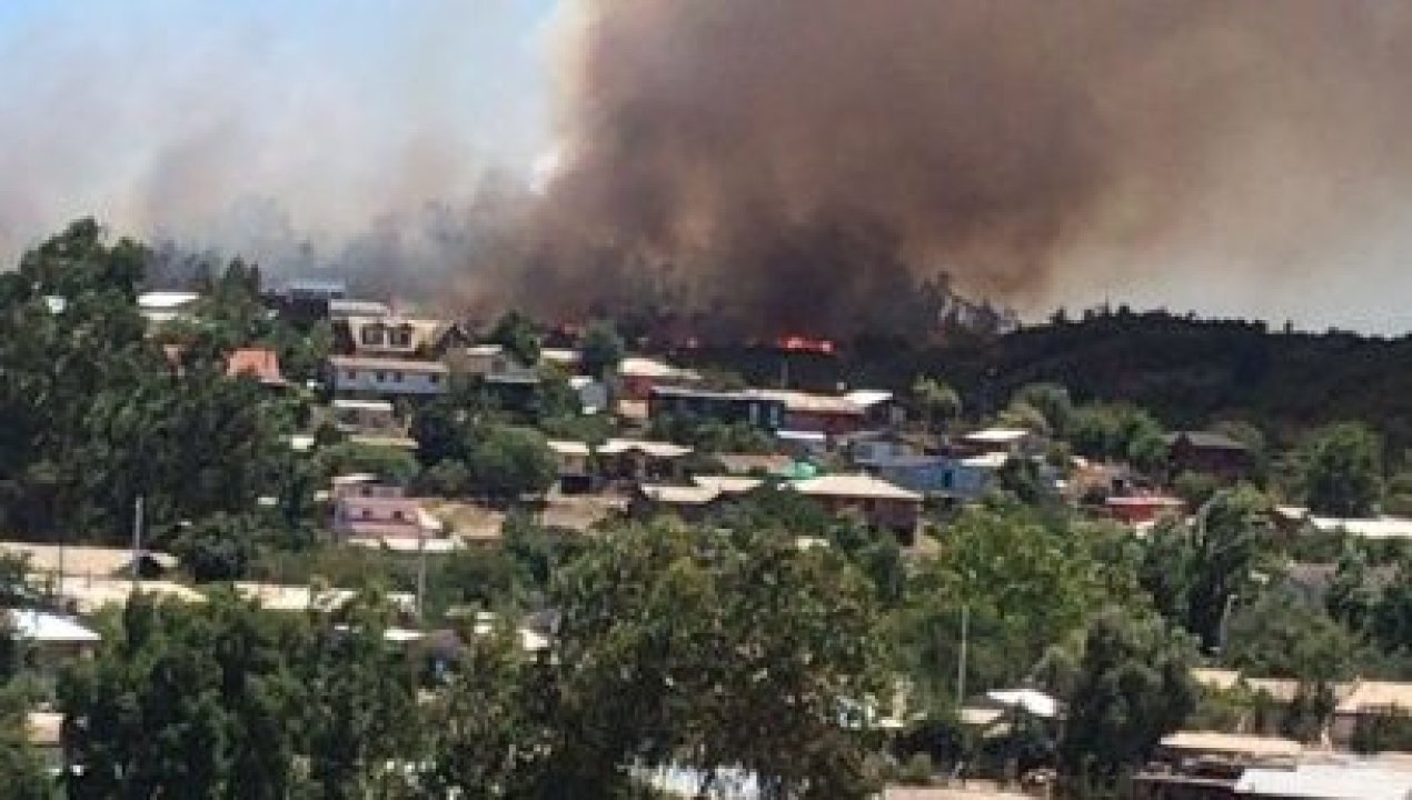 /incendio-forestal-causo-alerta-maxima-en-litueche