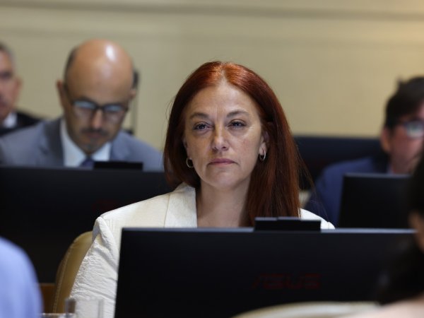 Diputada Cucumides denuncia brutal muerte de galgo Marchigüe