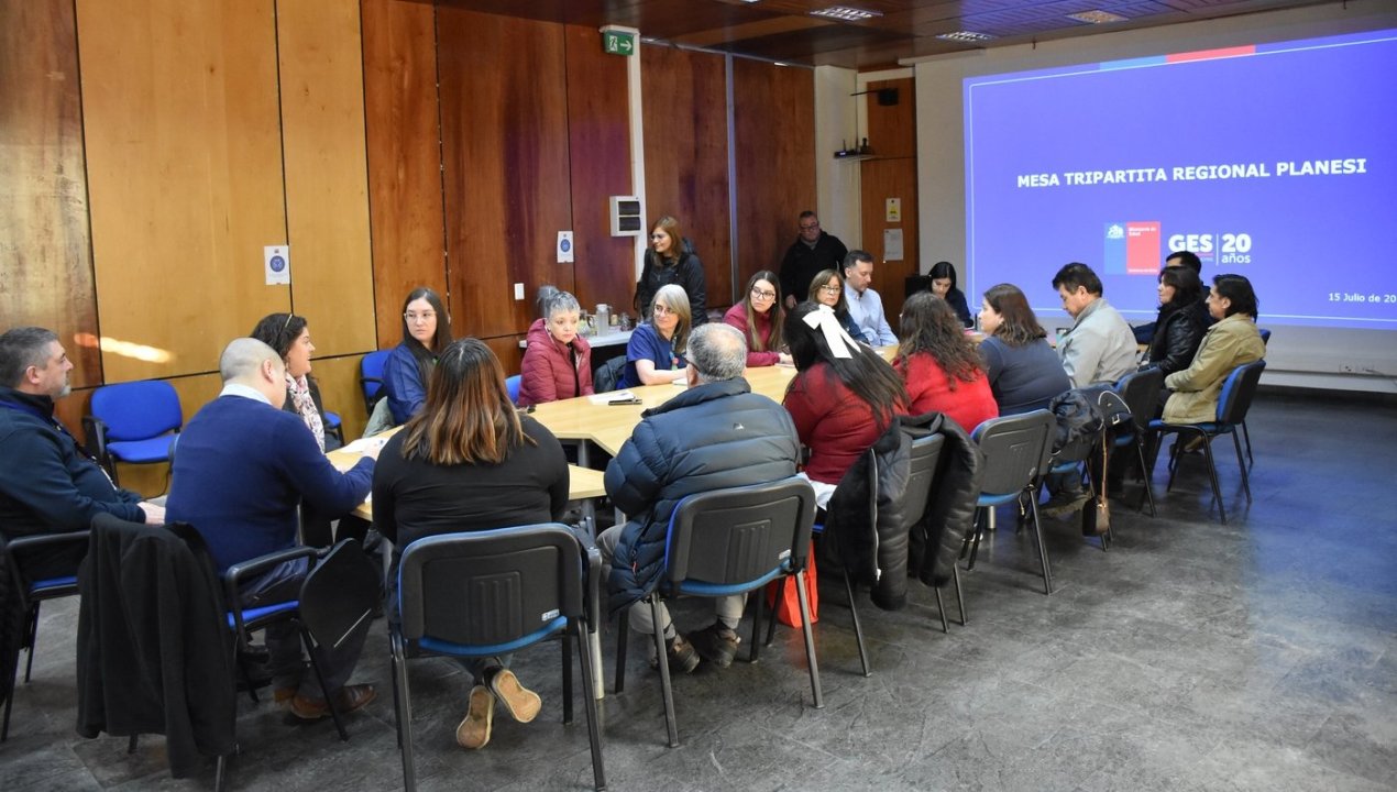 /seremi-de-salud-magallanes-lidera-primera-mesa-regional-tripartita-del-2025
