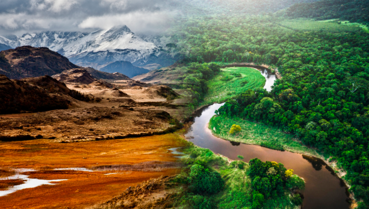 /patagonia-chilena-tiene-casi-el-doble-de-carbono-que-la-amazonia-por