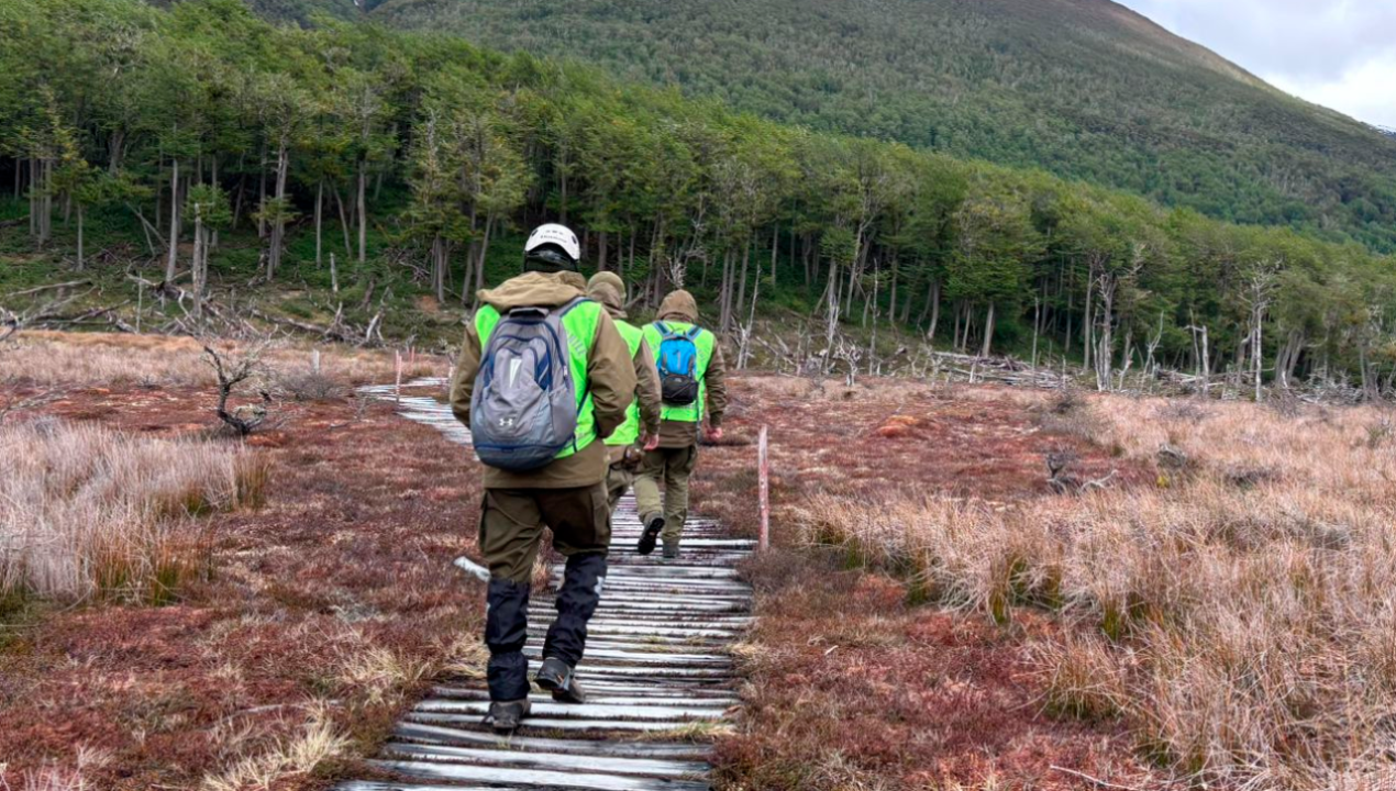 /regionales/region-de-magallanes/turistas-extraviados-en-tierra-del-fuego-fueron-encontrados-con-vida