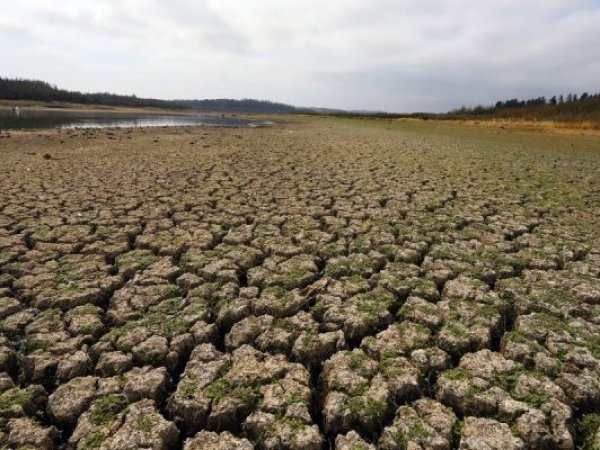 El escenario para el futuro ante la escasez hídrica para 2026