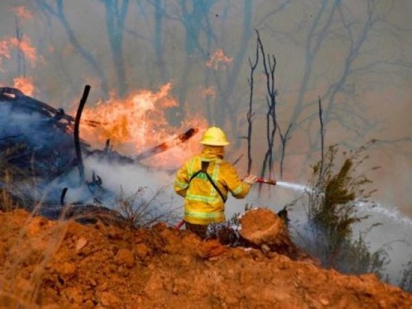 Conaf mantiene 24 incendios forestales en combate y Ñuble y Biobío continúan en Alerta Roja