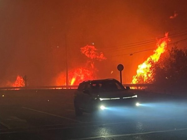 Incendios forestales: Gobierno actualiza balance y refuerza medidas de emergencia en el sur