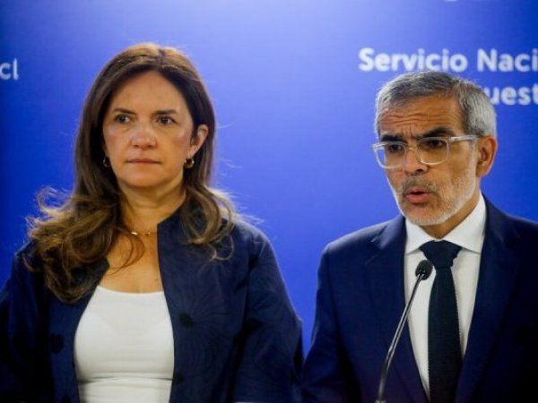 Balance incendios: Más de 44 mil hectáreas arrasadas por el fuego en el centro-sur del país