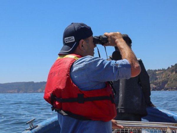Familia de isleño desaparecido en Rapa Nui asegura que operativo de búsqueda se amplió