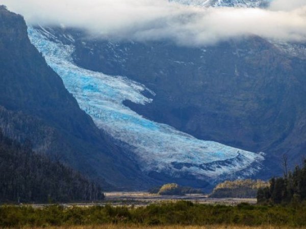 “Es un desmantelamiento”: 247 organizaciones en alerta por retiro de decretos medioambientales
