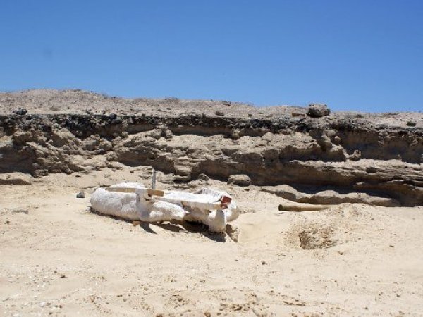 NASA bautiza cráter en Marte como “Antofagasta” por similitud con el desierto de Atacama