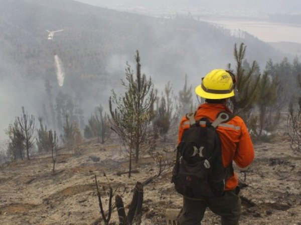 Fijan para noviembre cierre de investigación por megaincendio en Santa Juana
