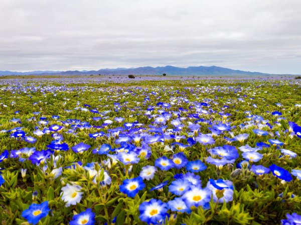 Regiones al Aire: Temporal, turismo y protección del patrimonio natural