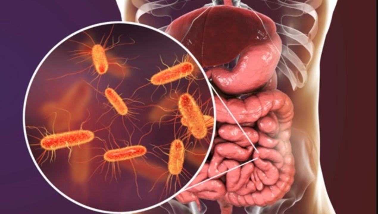 /listeriosis-infeccion-silenciosa-que-puede-tener-graves-consecuencias-para