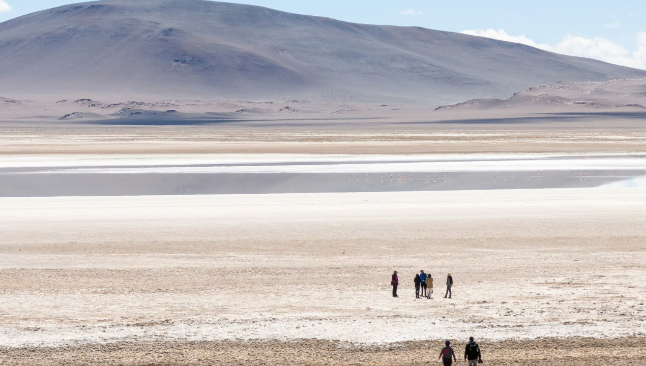/documental-sobre-salares-nortinos-gana-el-oscar-sobre-naturaleza