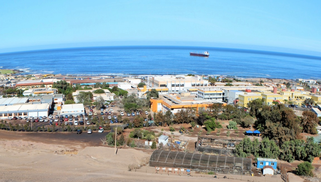 /serie-potenciara-la-gestion-de-activos-intelectuales-de-la-universidad-de